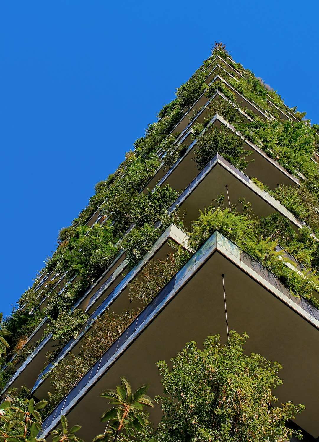 Energy Efficiency Grants